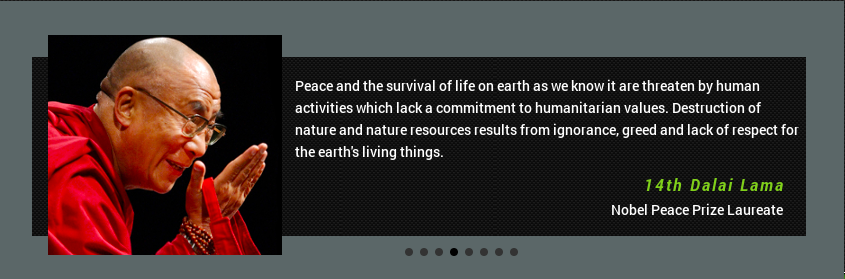 Screen-Shot-2018-08-24-at-4.13.44-PM.png