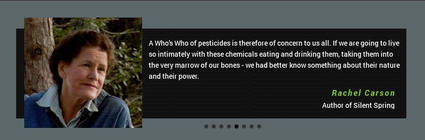 Screen-Shot-2018-08-24-at-4.13.55-PM.png